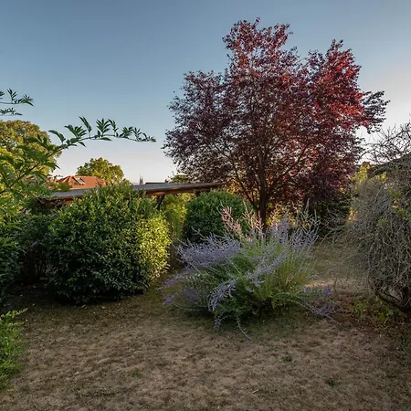 Apartment Bis 10 Personen Und 2,5 Schlafzimmern Geisenheim