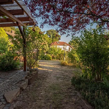 Apartment Bis 10 Personen Und 2,5 Schlafzimmern